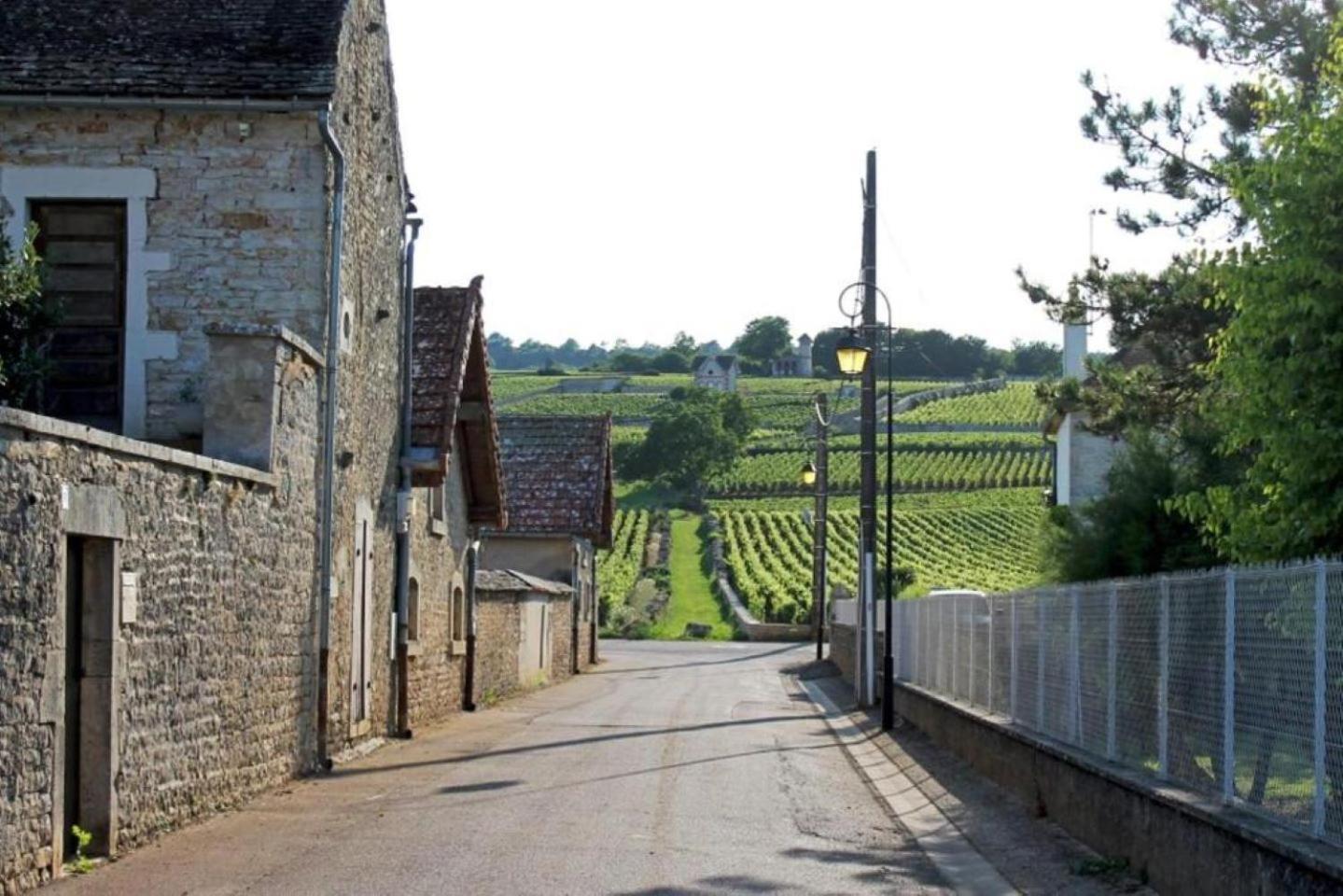 Le Lagon Bleu - Centre Ville - Maison Boucicaut - By Primo C0Nciergerie Chalon-sur-Saône Extérieur photo